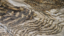 Load image into Gallery viewer, Savory Scarves
