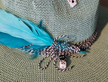 Load image into Gallery viewer, Blue Jay Brim

