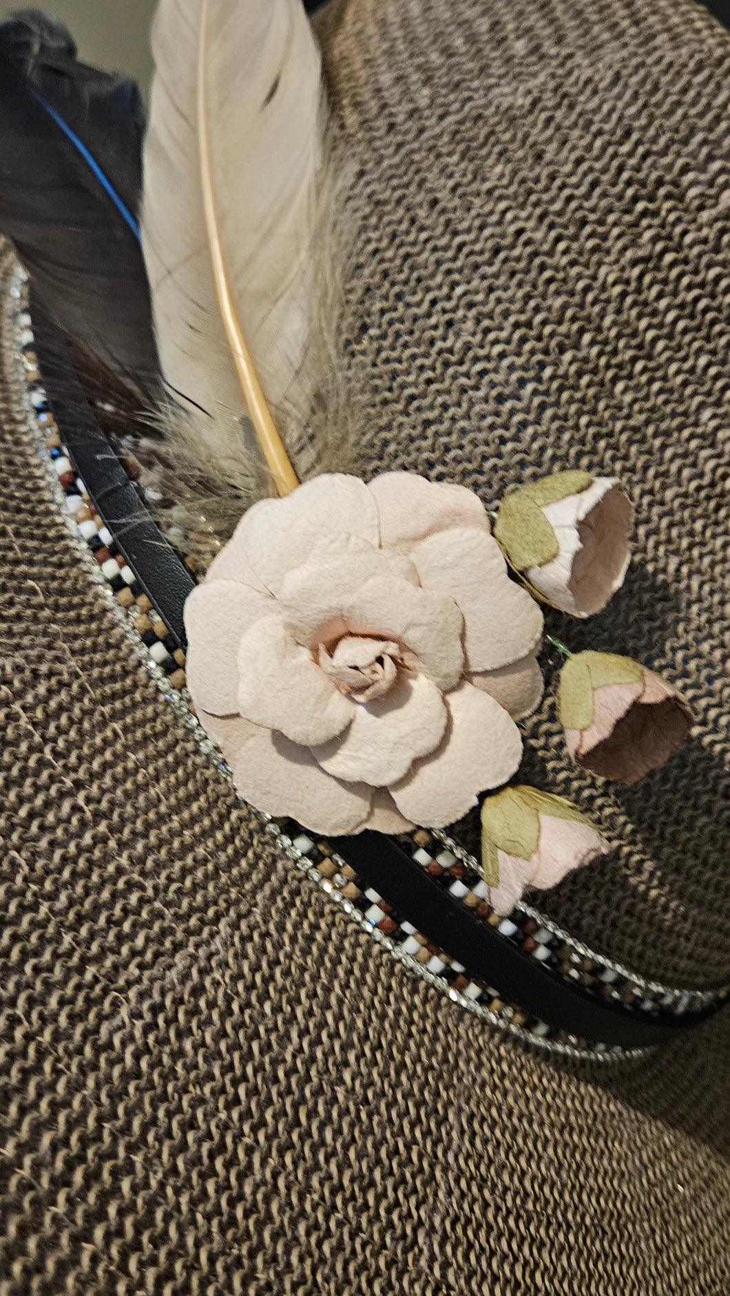 Brown Sugar Brim